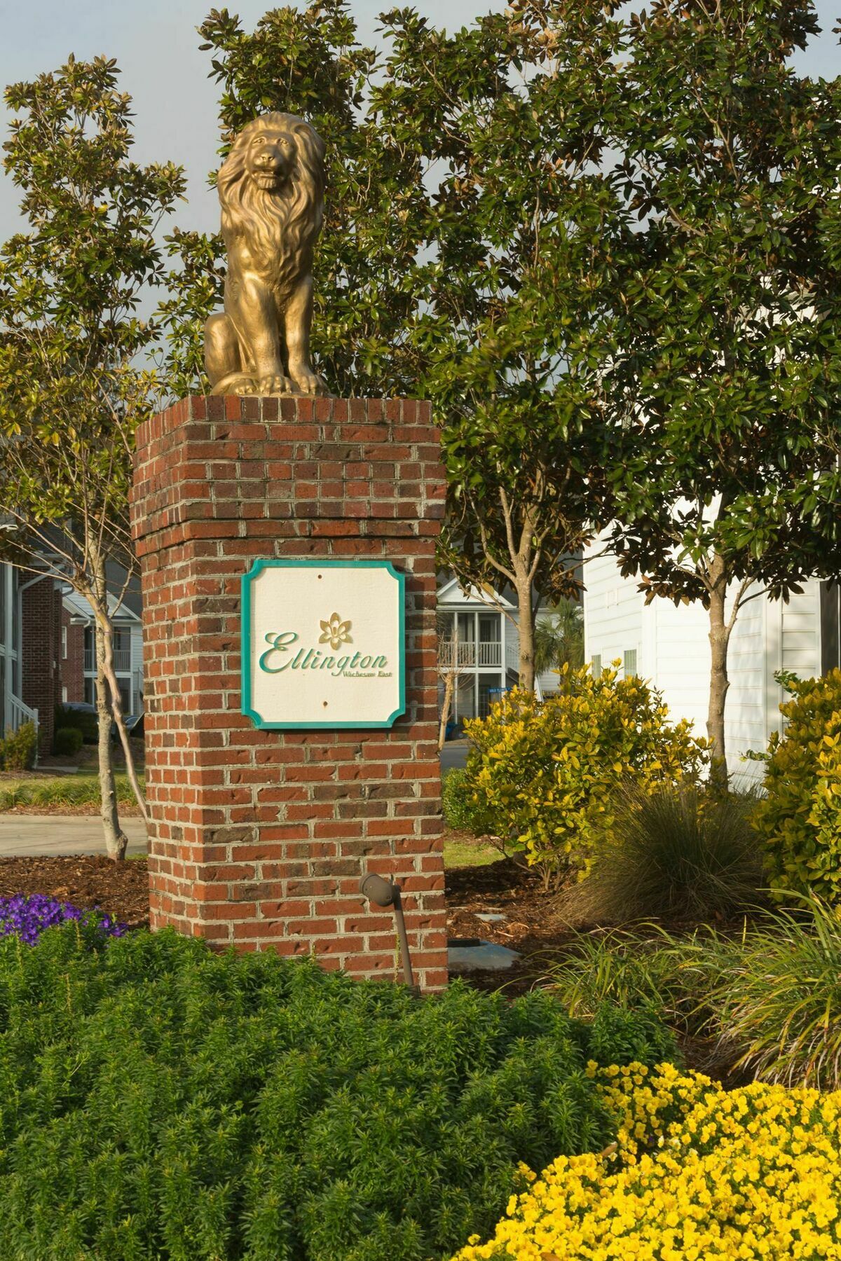 Ellington At Wachasaw Eas Aparthotel Murrells Inlet Exteriör bild
